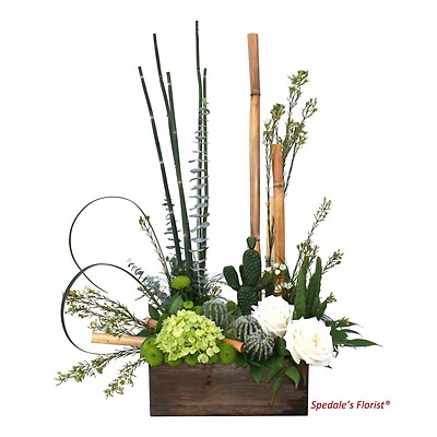 Cactus Garden Medley