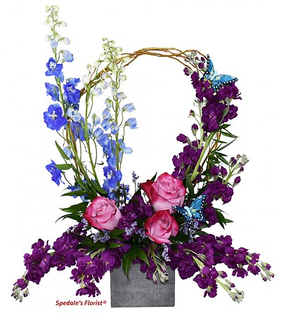 Violette