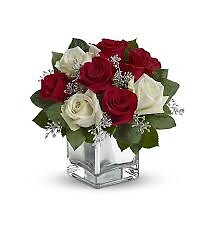 Christmas Roses